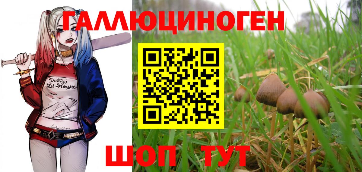 Псилоцибиновые грибы MAGIC MUSHROOMS  Вход с VPN  Хасавюрт  Галлюциногенные грибы Magic Shrooms 
